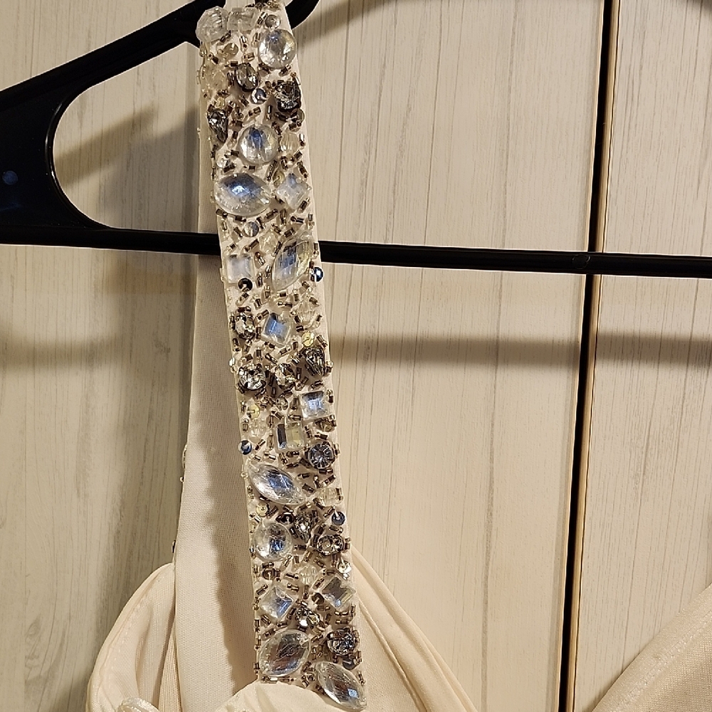 Cache Cream and Silver Backless Dress - Picture 9 of 11